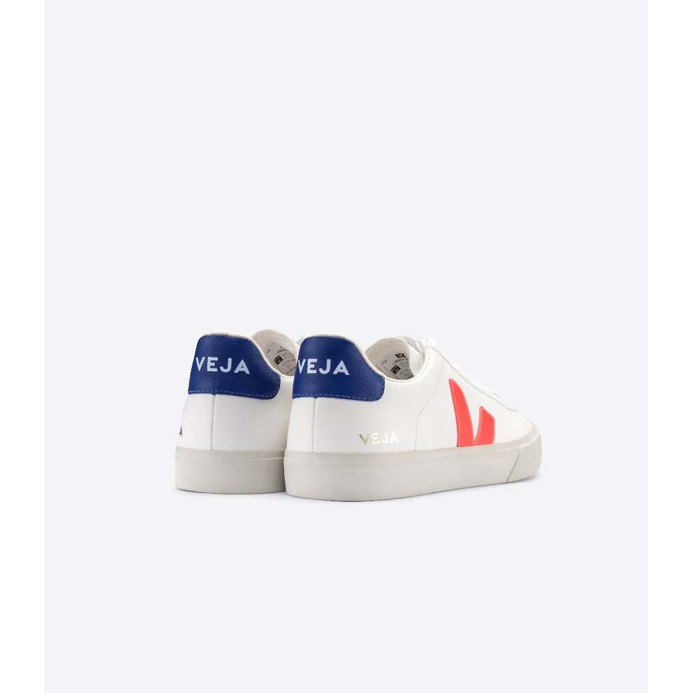 Men's Veja CAMPO CHROMEFREE Low Tops Sneakers White/Orange/Blue | ZA 297WNB